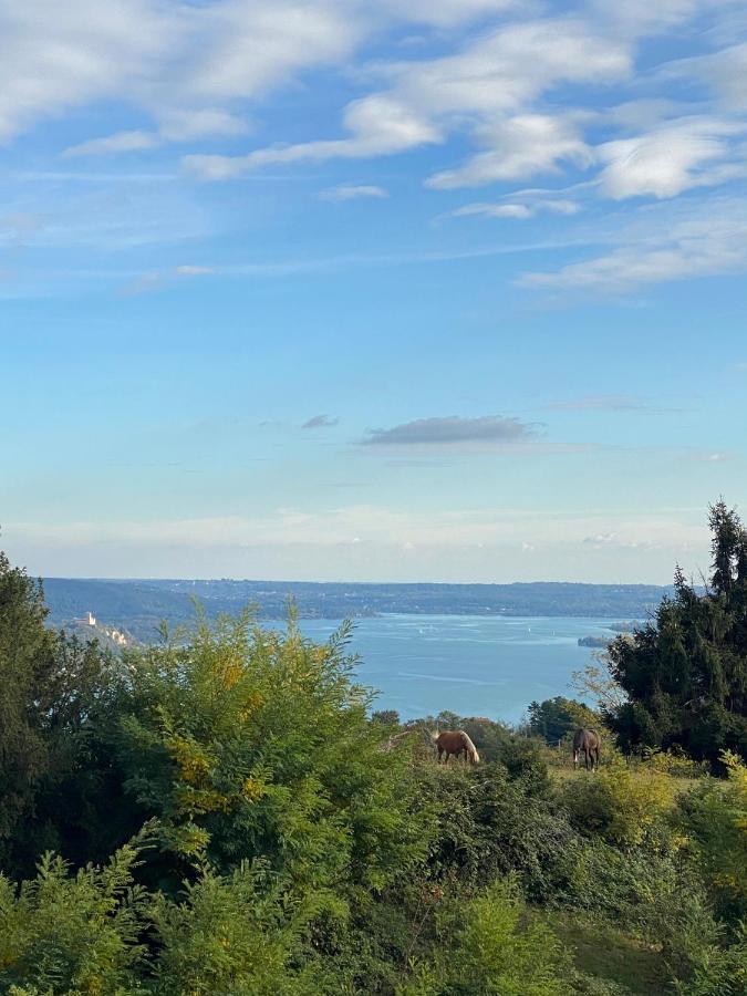 La Garconnierre Del Lago Maggiore Nebbiuno ภายนอก รูปภาพ